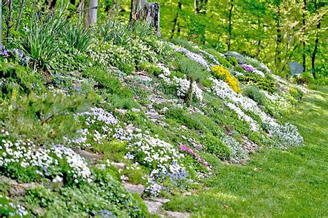 How To Garden On A Slope Ideas For Hillsides