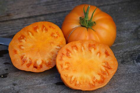 Yellow Beefsteak Tomato Wyches Yellow Tomato Seeds Old Etsy