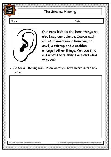 14 Hearing Worksheet Printable
