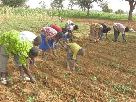 Les Défis De Lagriculture Au Burkina Faso Solibam