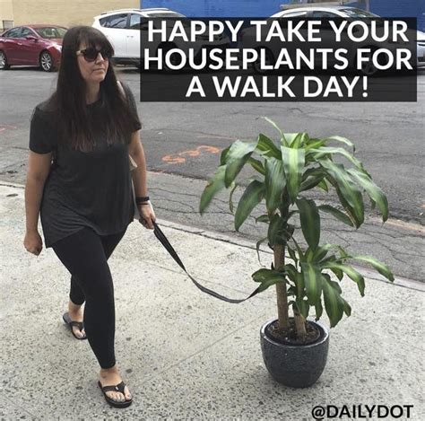 Being a proud plant parent is very much on trend these days, and i'm very much here for it. These Memes Are For All The Plant Lovers Out There ...