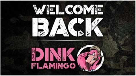 Dink Flamingo Returns To Active Duty As Director Producer