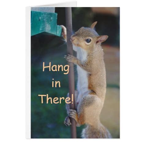 Hang In There Squirrel Greeting Card Zazzle