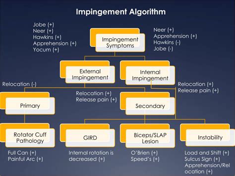 Ppt Shoulder Impingement Algorithm Powerpoint Presentation Free