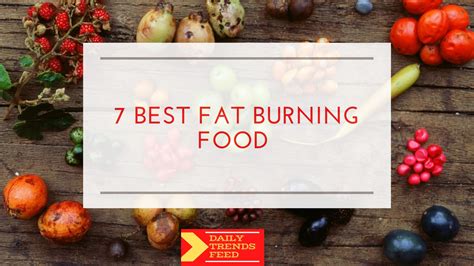 7 Best Fat Burning Food Daily Trends Feed