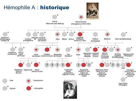 Es ist der legendären queen victoria (†1901) zu verdanken, dass heute sämtliche, europäische königshäuser miteinander verwandt sind. Bildergebnis für Queen Victoria Family Tree | Geschichte