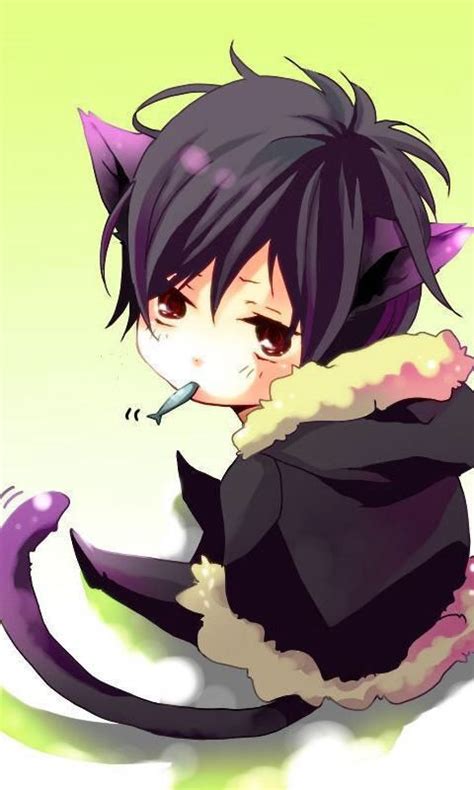 Neko Anime Boy Anime Pinterest Kawaii Fish And A Box