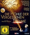 Die Höhle der vergessenen Träume: DVD, Blu-ray oder VoD leihen ...