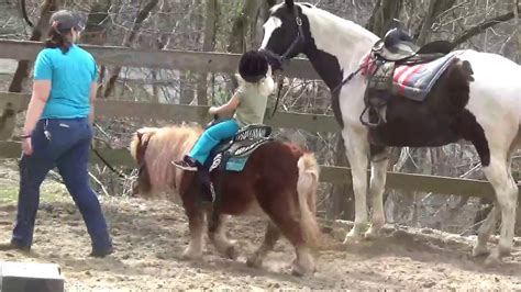 Human pony ride from alibaba.com help create authentic adventures during playtime. girls riding ponies - YouTube
