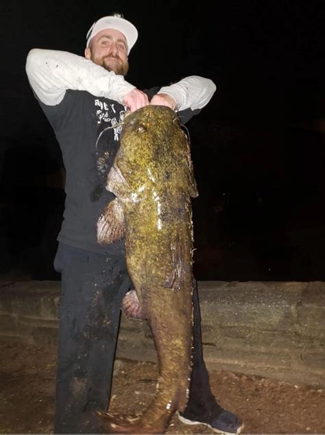 New State Record Catfish Caught Wesb B1075 Fm1490 Am Wbrr 1001