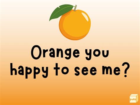 40 Hilarious Orange Puns That Are So Sweet And Juicy Box Of Puns
