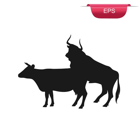 Cow And Bull Sex Farm Animals Animal Illustrations ~ Creative Market