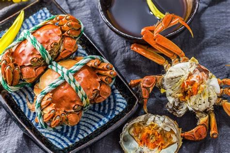 Delicious Yangcheng Lake Hairy Crabs 英文版