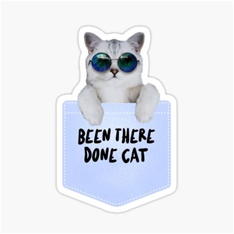 Been There Done Cat Cool Cat Cat Meme Sticker For Sale By