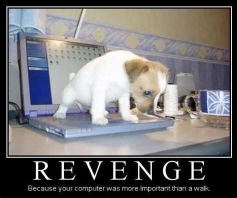 Funny Revenge Quotes Quotesgram