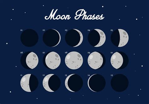 Free Download Vector Moon Phase Moon Phases Vector Art Design
