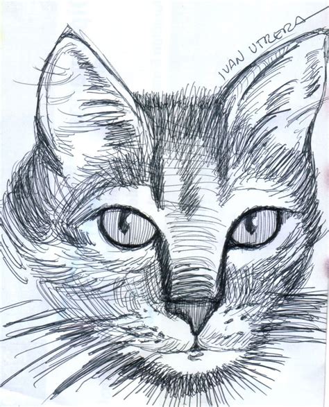 Dibujo Gato A Lapicero Dibujos Dibujos A Lapicero Pintura Y Dibujo