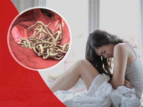 stomach worm infections know types and symptoms for differentiation onlymyhealth