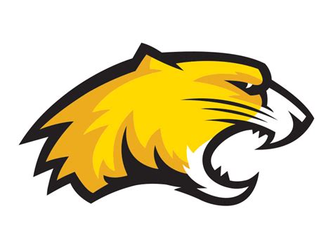 The college fields sports teams in division 1 of the naia (national association of intercollegiate duck beats cougar???: Cougar Mascot by JP Marketing on Dribbble