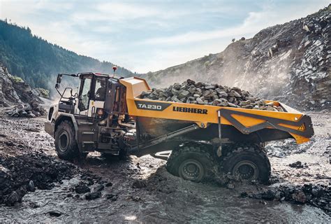 Adt Ta Litronic Liebherr