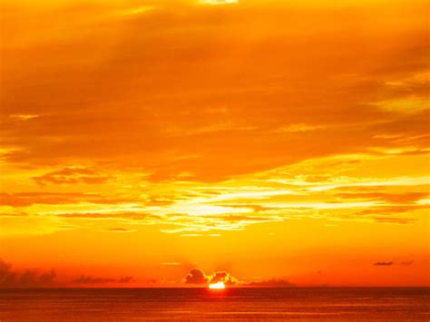 Orange And Yellow Sunset Background Goimages Mega