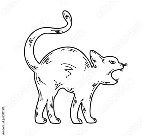 Angry Cat Stock Vector Adobe Stock