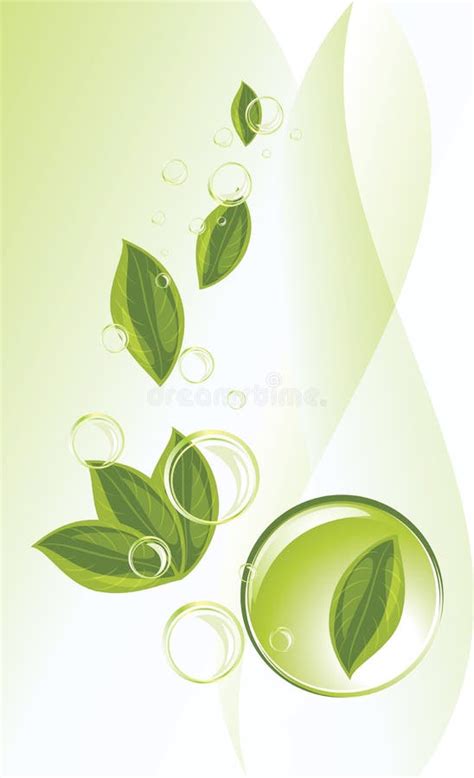 Leaf And Bubbles On The Abstract Background Stock Vector Illustration