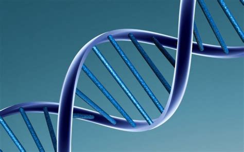 What Is Dna Science Made Simple