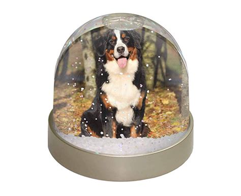 Advanta Group Bernese Mountain Dog Snow Dome Globe Waterball T