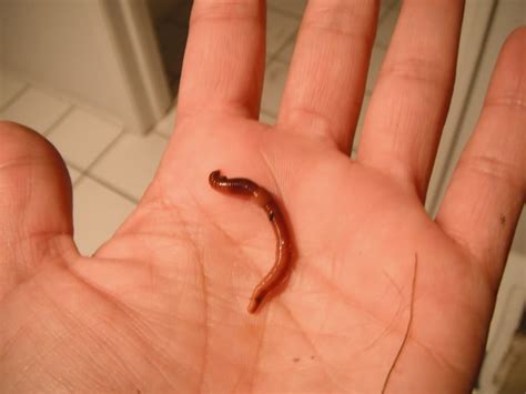 Simple Science: How to Make a Volcano with Kids