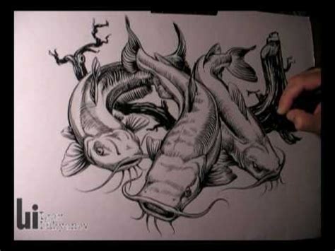 A decent fighter and all the more so for a light rod; Drawing Catfish - YouTube