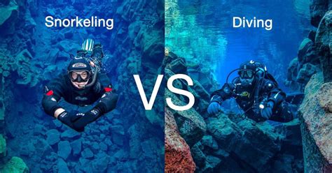 Snorkeling Vs Scuba Diving All About Iceland