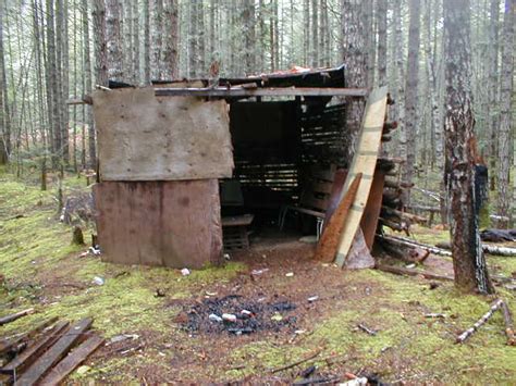 Available on ios, android · music with lyrics · curated playlists Mad Trapper's Cabin | Flickr - Photo Sharing!