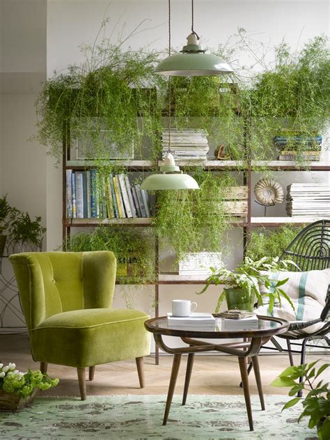 House Plant Trend Is Influencing How We Plant Up Our Gardens Real Homes