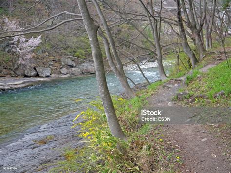 Suwakyo Gorge Hiking In Minakami Stock Photo Download Image Now