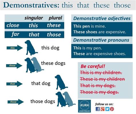 Demonstrative Pronouns This That These Those Learn English