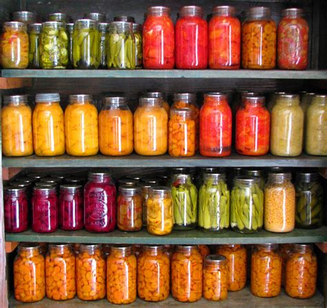 Preserving The Harvest Canning And Dehydrating The Prepper Journal