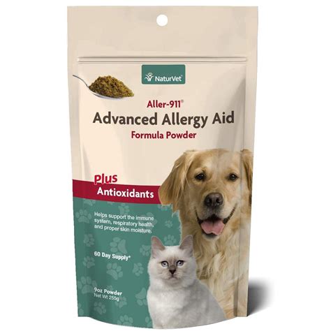 12 Allergy Medicines For Dogs To Help Them Ditch The Itch Daily Paws