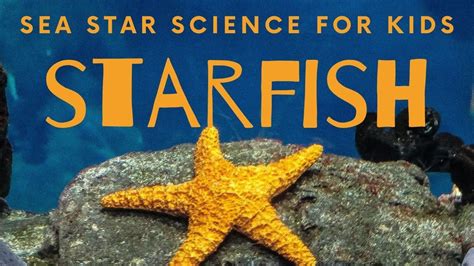 Starfish 10 Cool Sea Stars For Kids Science Youtube