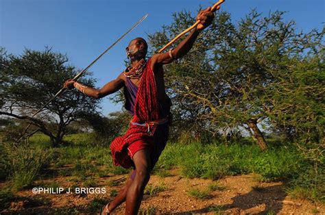 Beautiful Throwing A Spear Drawing Body Poses Human Poses Body Poses