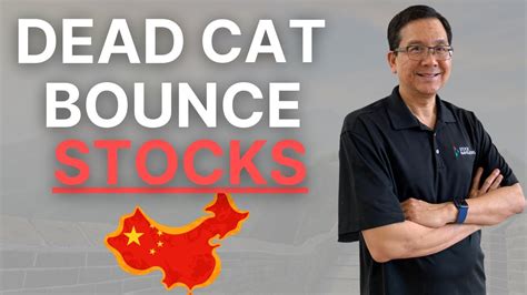 China Dead Cat Bounce Stocks October 2021 Youtube