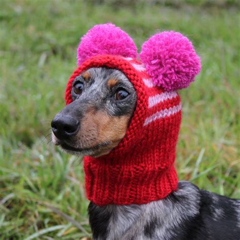 Cute Knitted Dog Beanie Dog Beanie Knitting Knitting Projects
