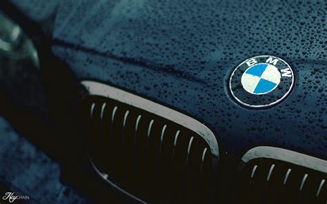 BMW Logo MP4