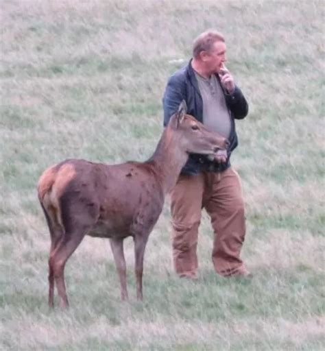 Unbelievable Pictures Show Man Getting Attacked By Deer In Richmond Park Mylondon