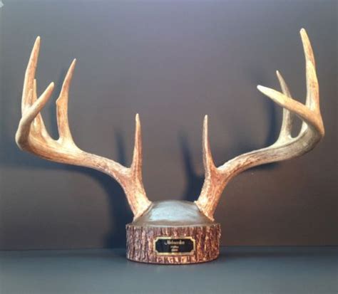 Taxidermy └ animal collectables └ collectables all categories antiques art baby books, comics & magazines business, office & industrial cameras & photography cars, motorcycles & vehicles clothes, shoes. Buckstumps-Antler-Mount-Kit | Deer skull mount