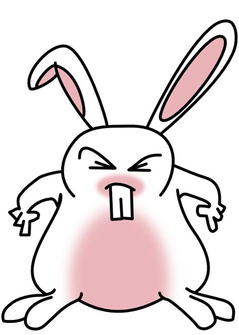 Free Funny Bunny Cliparts Download Free Funny Bunny Cliparts Png