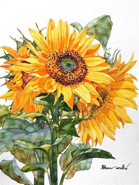 Sunflower Watercolor Painting Sunflower Artwork Flower Art Painting