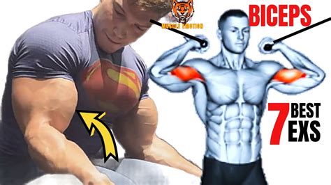 7 Meilleurs Exercices Musculation Des Biceps En Gym Mens Fitness Beat