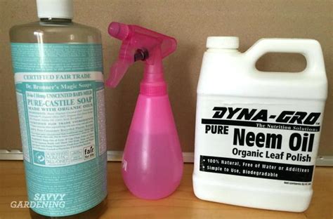 Homemade Bug Spray For House Plants Oil And Soap To Kill