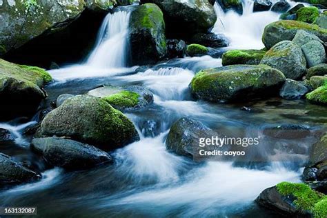 The Rocky Mountains Photos And Premium High Res Pictures Getty Images